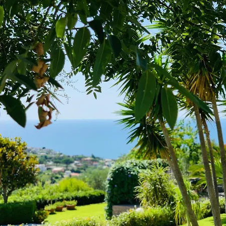 Casa Ischitana Forio di Ischia