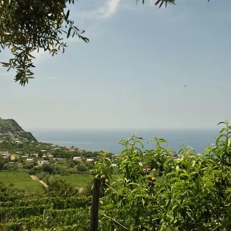 Casa Ischitana شقة Forio di Ischia